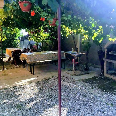 Pensiunea Casa Andreea Новачі-Страіні Екстер'єр фото