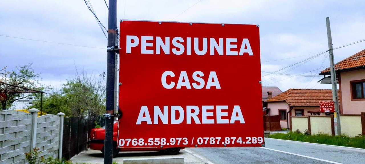Pensiunea Casa Andreea Новачі-Страіні Екстер'єр фото