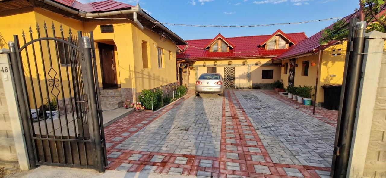 Pensiunea Casa Andreea Новачі-Страіні Екстер'єр фото