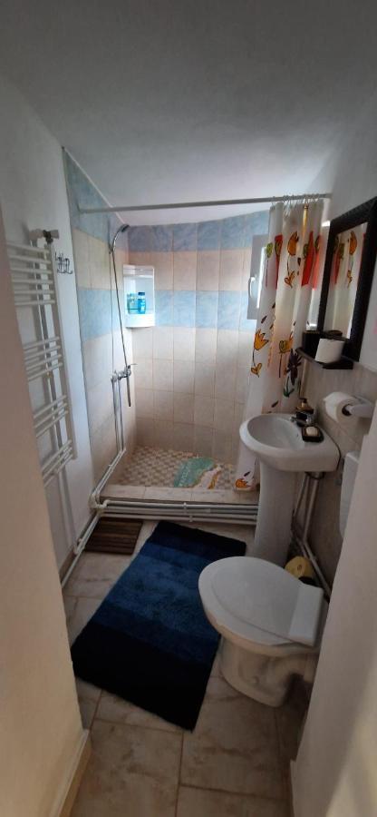Pensiunea Casa Andreea Новачі-Страіні Екстер'єр фото