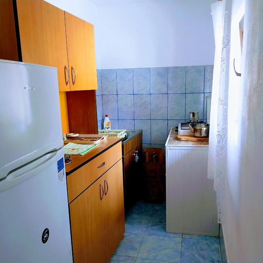 Pensiunea Casa Andreea Новачі-Страіні Екстер'єр фото